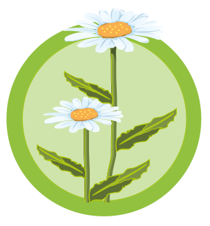 Ikon av Ren Grunn AS